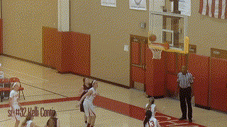 DMHS Lady Wolves 2014-2015 Season