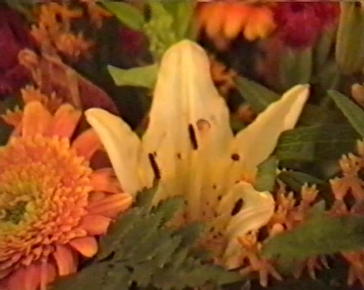 Shabbat-Hatan-Raz-iris-1992