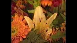 Shabbat-Hatan-Raz-iris-1992